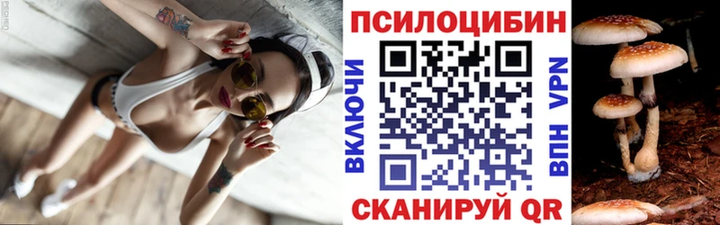 Купить где  Облучье  Псилоцибиновые грибы прущие грибы 
